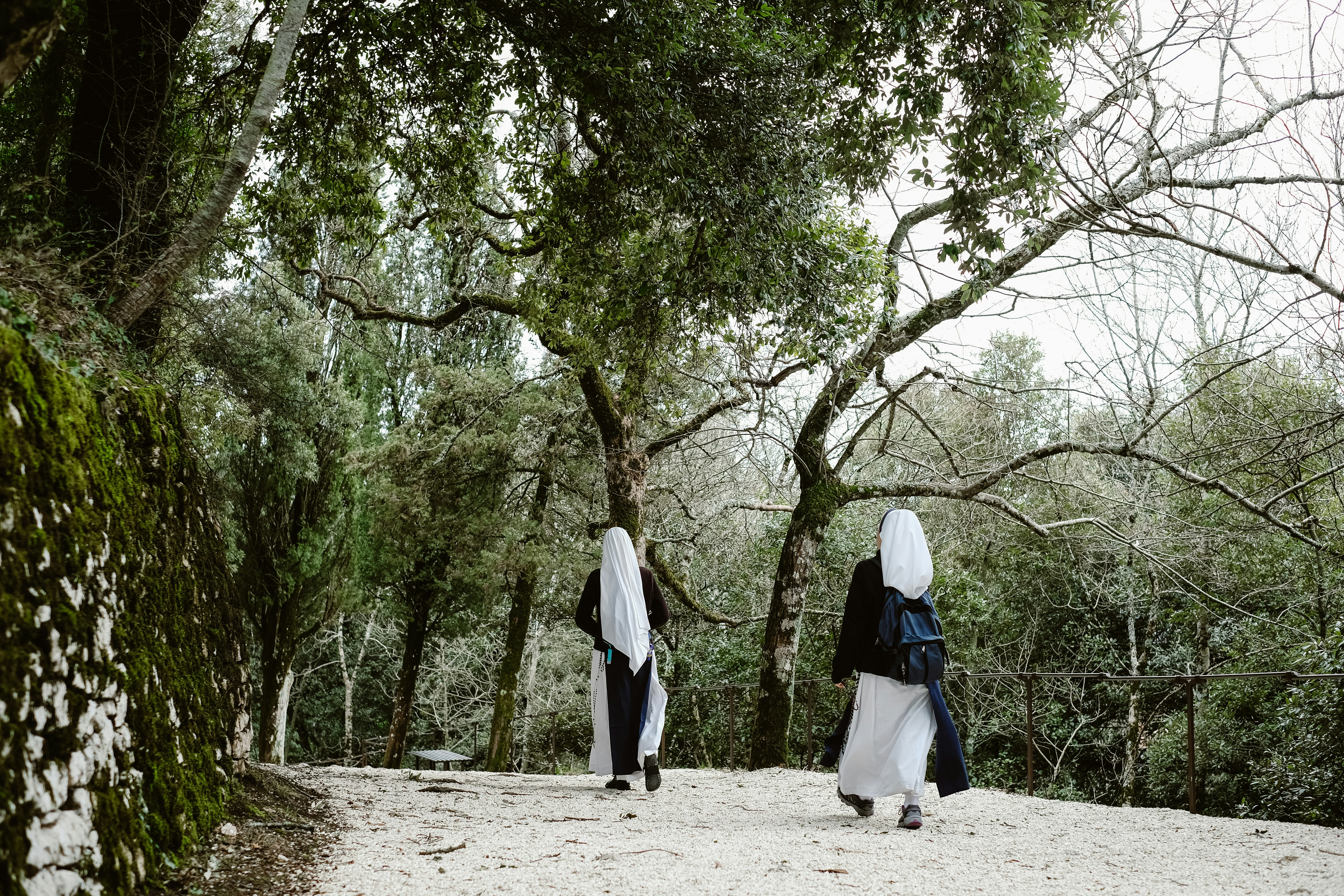 two woman walking near trees during daytime